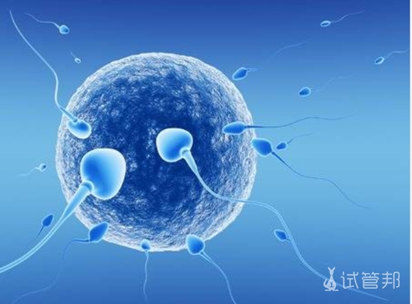 冷冻胚胎移植成功率是不是很低