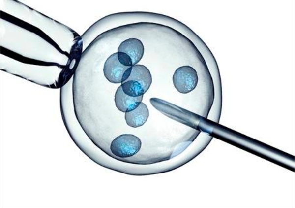 自然周期冻胚移植成功率高吗