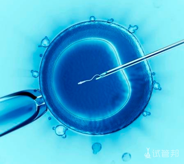 胚胎移植后哪些情况暗示着床成功