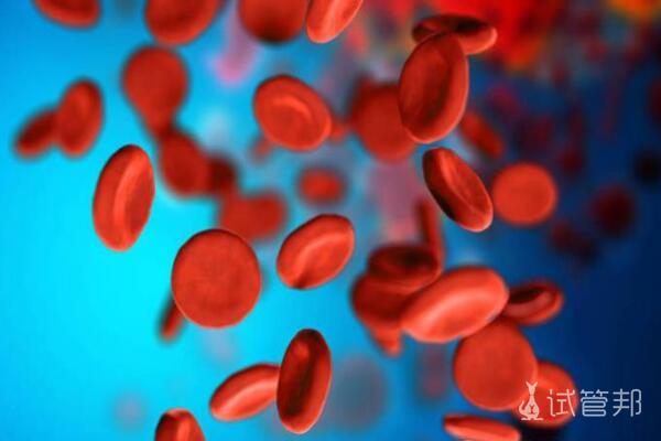 镰刀型细胞贫血症形成的原因是什么