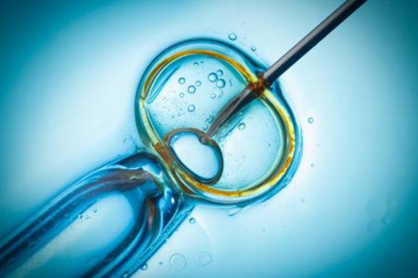 胚胎移植的时间是哪几个阶段，胚胎移植的时间怎么确定