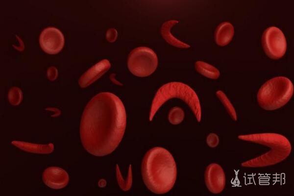 镰刀型细胞贫血能不能阻断遗传