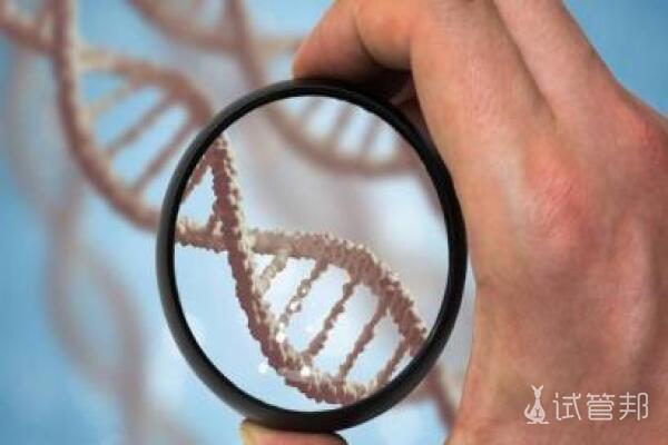 基因检测有什么作用