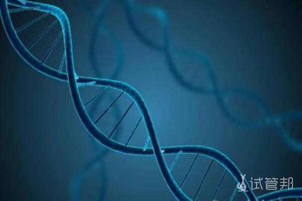 基因检测是什么