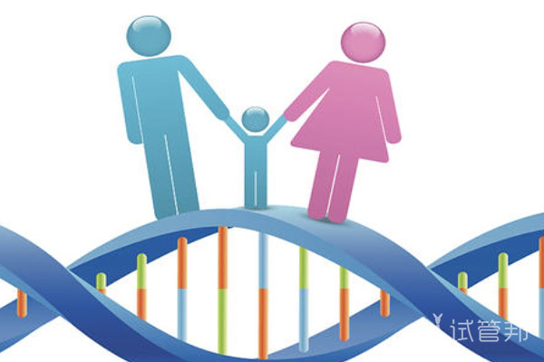 d8b485f63495bc742fc6409185e049a4.jpg 罗氏易位做三代试管婴儿成功率高吗