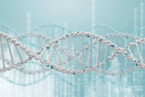 eb3ce322008f3b6333eef3ad847cabde.jpg 罗氏易位是什么