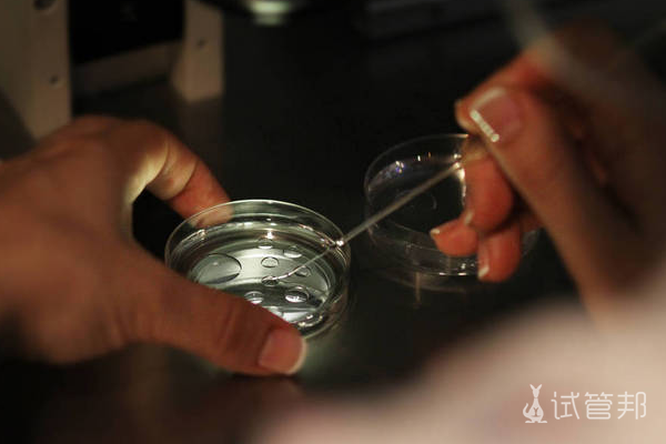 715e8c45ec057bb68b8aaaac340ad7a9.png 上海做试管婴儿费用多少钱