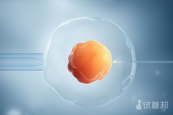 试管婴儿周期中胚胎何时移植效果更佳