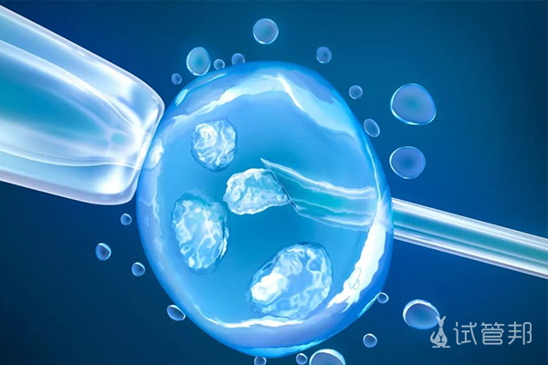 胚胎冷冻多久移植成功率最高