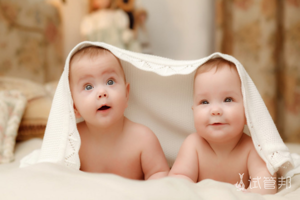 泰国试管婴儿双胞胎几率有多大