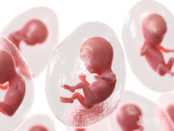 de1ffd51130d2560ef15a9da98eb1acf.jpg 自己去泰国做试管婴儿过程中要注意哪些问题
