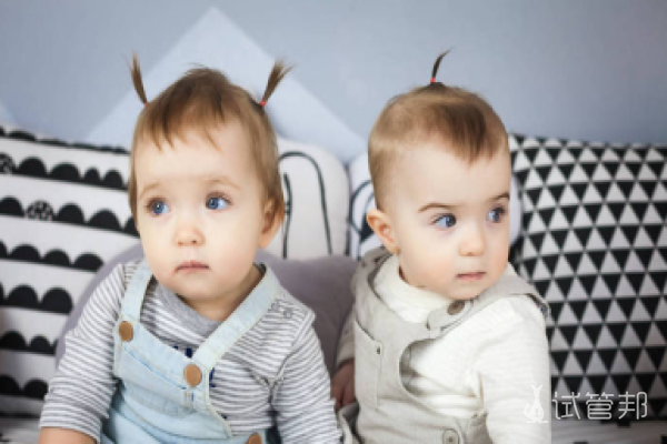 试管婴儿双胞胎的费用与单胞胎一样吗