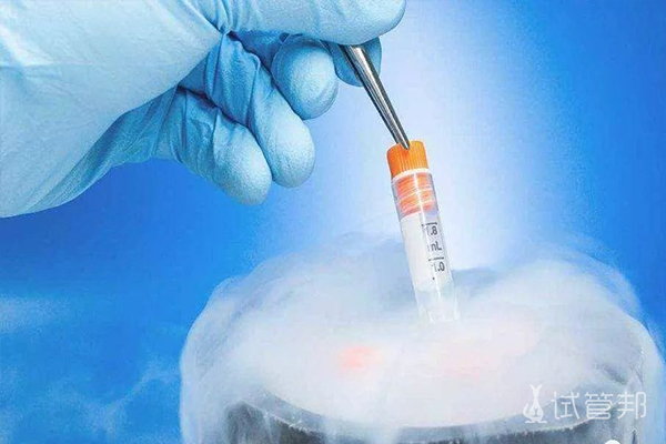 胚胎冷冻有哪些注意事项