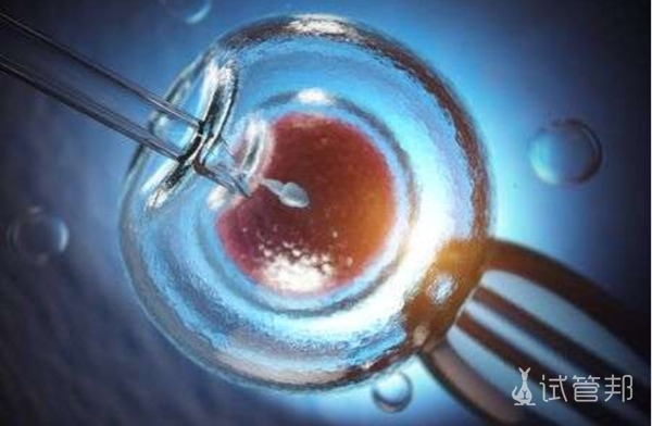 胚胎冷冻移植和新鲜胚胎移植哪个好