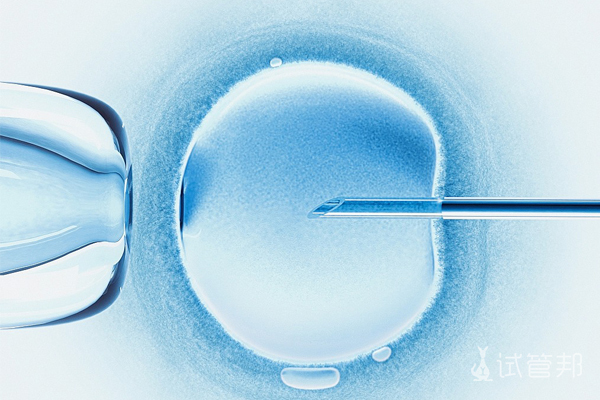 胚胎冷冻后移植需要什么准备