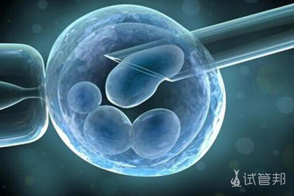 胚胎冷冻能提高妊娠率吗