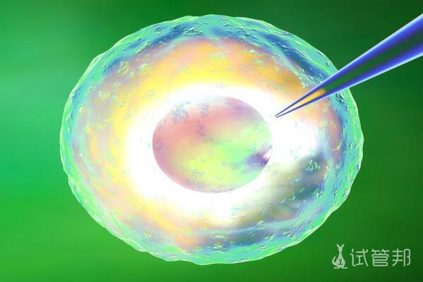 胚胎冷冻流程是怎样的