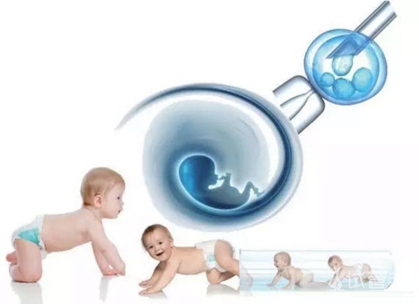 胚胎冷冻的成功率如何