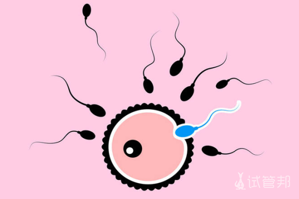 胚胎解冻后达到什么标准可以移植