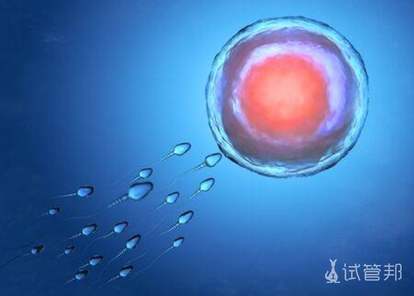 体外胚胎培养一般要几天