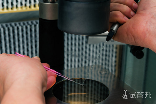 冻胚移植费用是多少 费用明细有哪些 <a href=