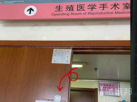 上海第六人民医院人工授精流程