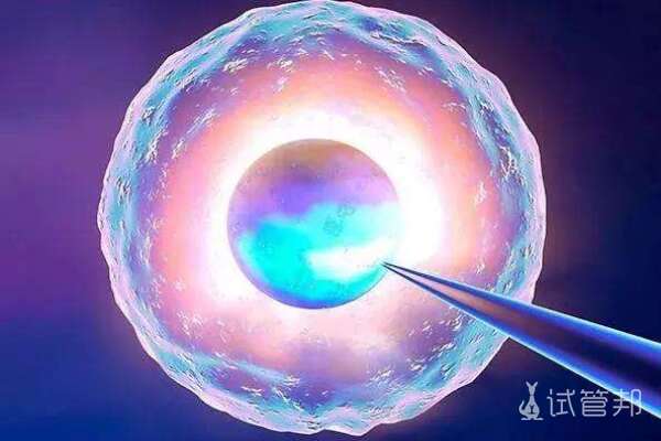 胚胎冷冻好了妊娠的成功率多大