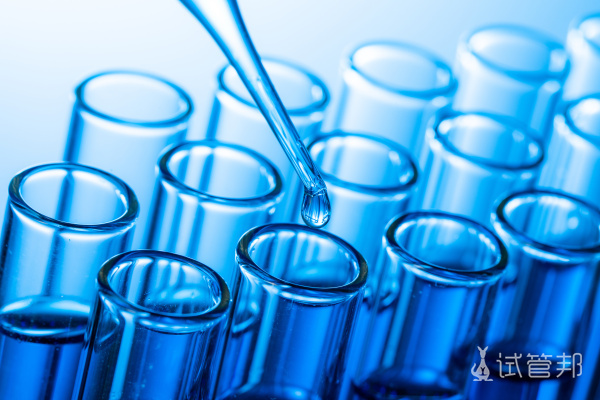 221e01efe9f239277e19cc18d6193a9d.jpg 胚胎培养收费贵吗