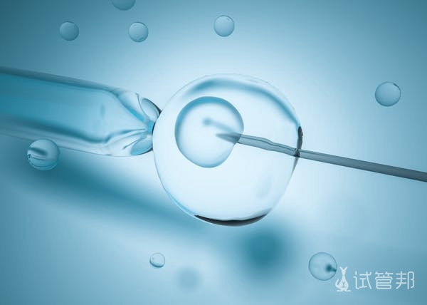 胚胎培养有哪些步骤