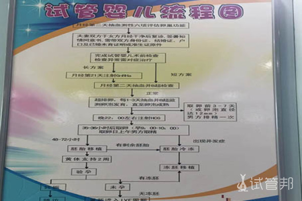 2023潍坊市妇幼保健院试管婴儿成功率一览，附试管医生推荐