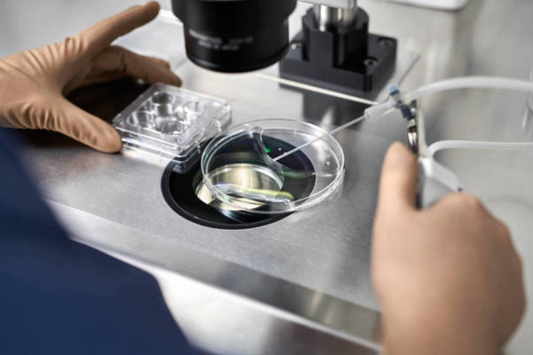 7c5c2a5020da6695b5813999da03713e.png 上海做试管婴儿能不能选性别呢