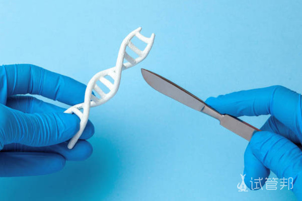 bcc5e4ec5ce82684cc722e95c9bba3eb.png 第三代试管婴儿技术适应症有哪些