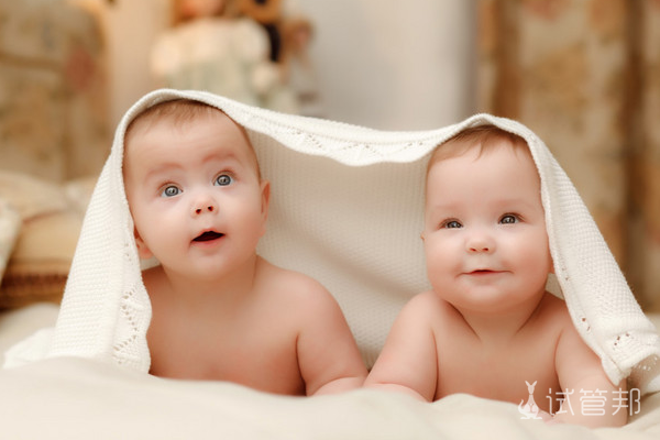 上海二胎试管婴儿双胞胎风险大吗