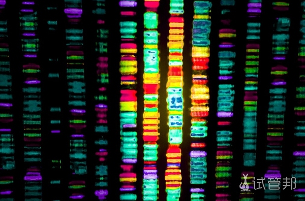 0c4acff6374b2d18049b56f524a0900c.jpg 孕前检查染色体需要多少钱