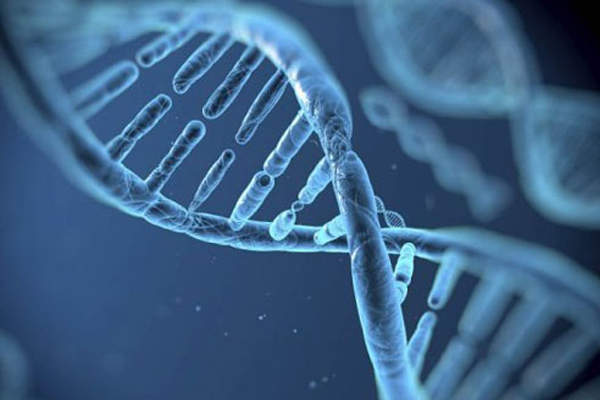 d252893fb494ea4a7313d62997e279d9.jpg 孕前检查染色体需要夫妻双方都检查吗