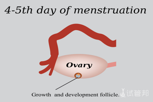 e9f907da4b3318aef5bffa1c187e4ef2.png 卵泡期有什么症状呢