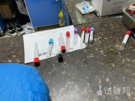 9c2dddd58ecfb3bd4e9fd5bf15d622ba.jpg 柬埔寨试管婴儿成功