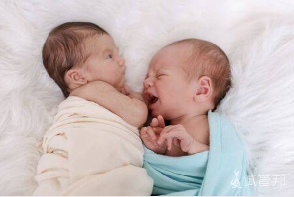 试管婴儿怀双胞胎的几率高不高