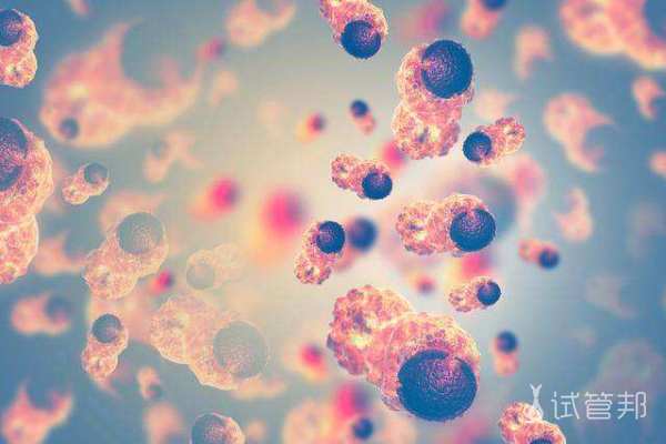 bfe3a4c174b21da3a310b42f8f758c18.jpg 优生四项的临床意义是什么