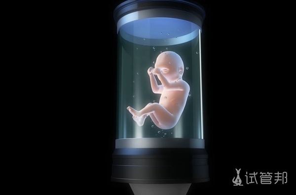 试管婴儿胚胎发育慢的原因