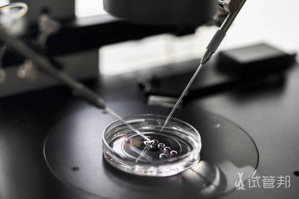 987f819f40f9ead24d29b0332ca56864.png 高龄女性在北京选择哪家试管婴儿医院比较好