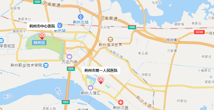 荆州试管婴儿医院地图