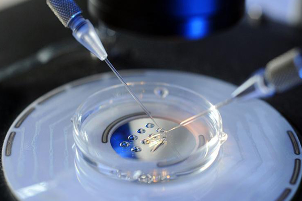 a59c31c30419a502a82c12d41510074c.jpg 国内冻卵费用大约多少