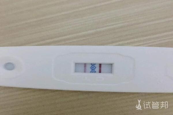 中国医科大学附属盛京医院试管婴儿成功怀孕了