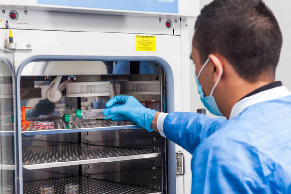 85702590f54a748ad612e68674a80347.png 冻卵复苏成功率有多少