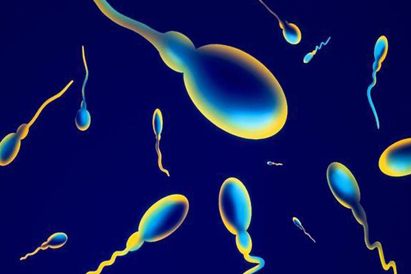 ebc6af54aa8cbc0fd39b29660cf34048.jpg 在福州冻精做试管婴儿成功率高吗