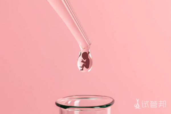 胚胎辅助孵化多少钱