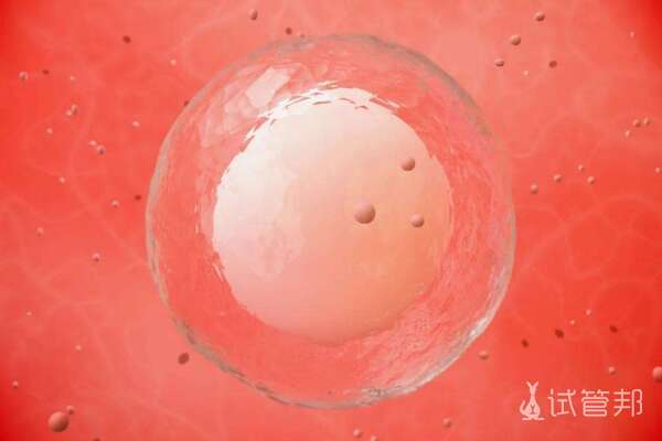 辅助孵化会伤害胚胎吗