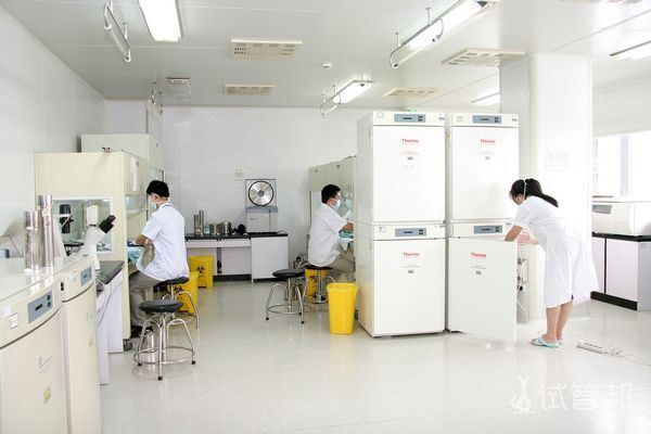 影响泰国EK国际医院成功的因素有哪些