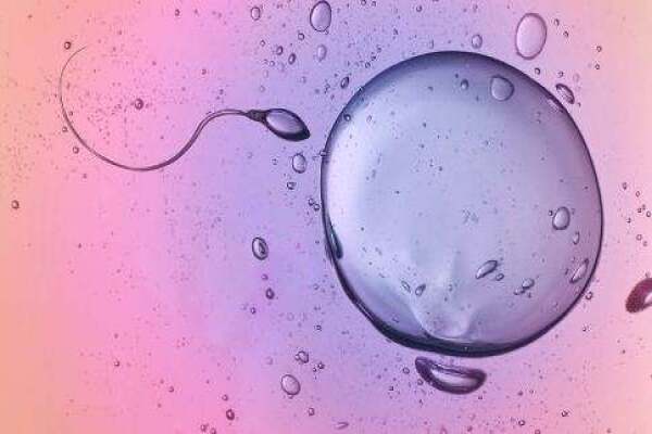 供卵代要多久才能排卵,多囊卵巢需要监测多久才能促排卵